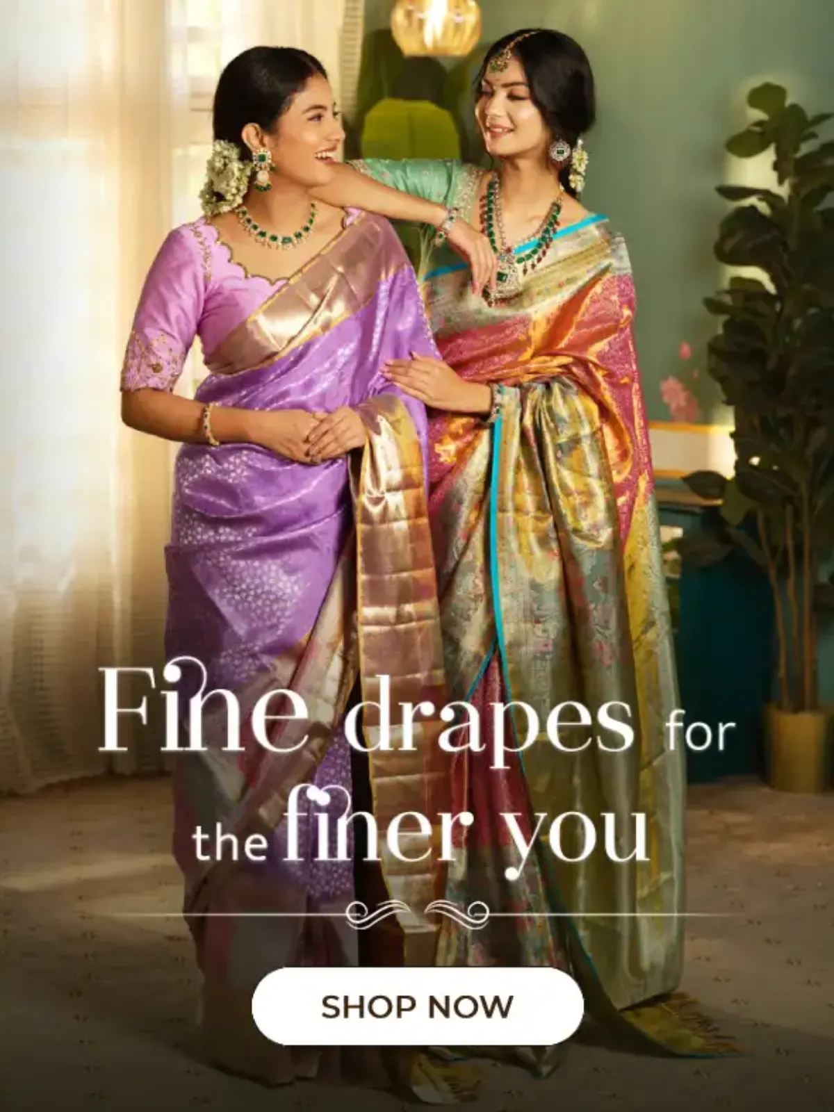 Vandana Saree hero 2